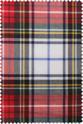 Poplin Check Multi